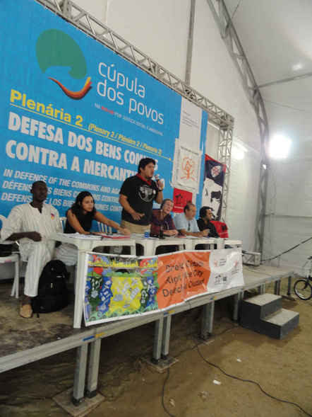 Río, megaproyectos, despojo y organización social
