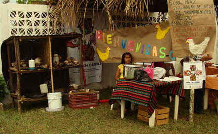 San Isidro Labrador, México, Tianguis agroecologico