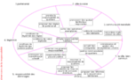 Sistematización del proceso de construcción de la Carta de Responsabilidades de los Habitantes